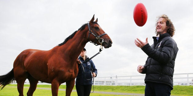 Racing. Footy. Unkempt hair. 'Straya!