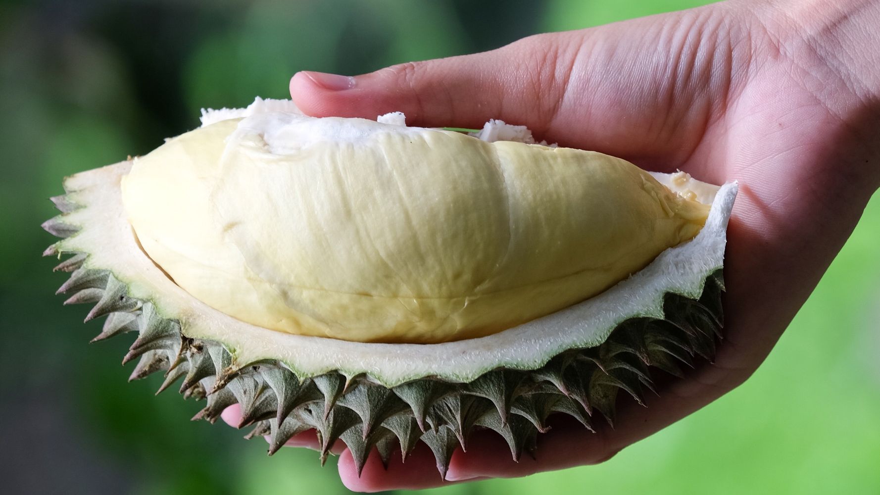 8 Fruits You Ve Probably Never Tried Before Huffpost Australia Food Drink