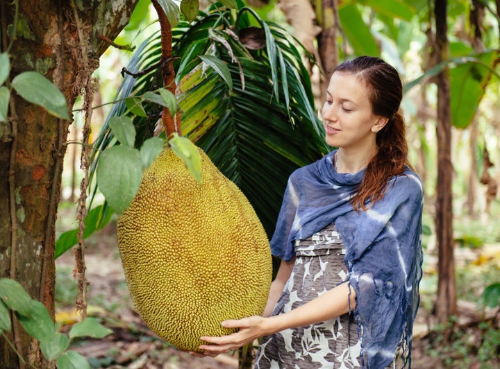 Holy jackfruit!