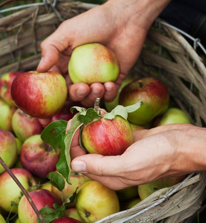 Keep the skin on to get the most out of apples.