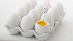 Science Can't Reproduce A Healthy