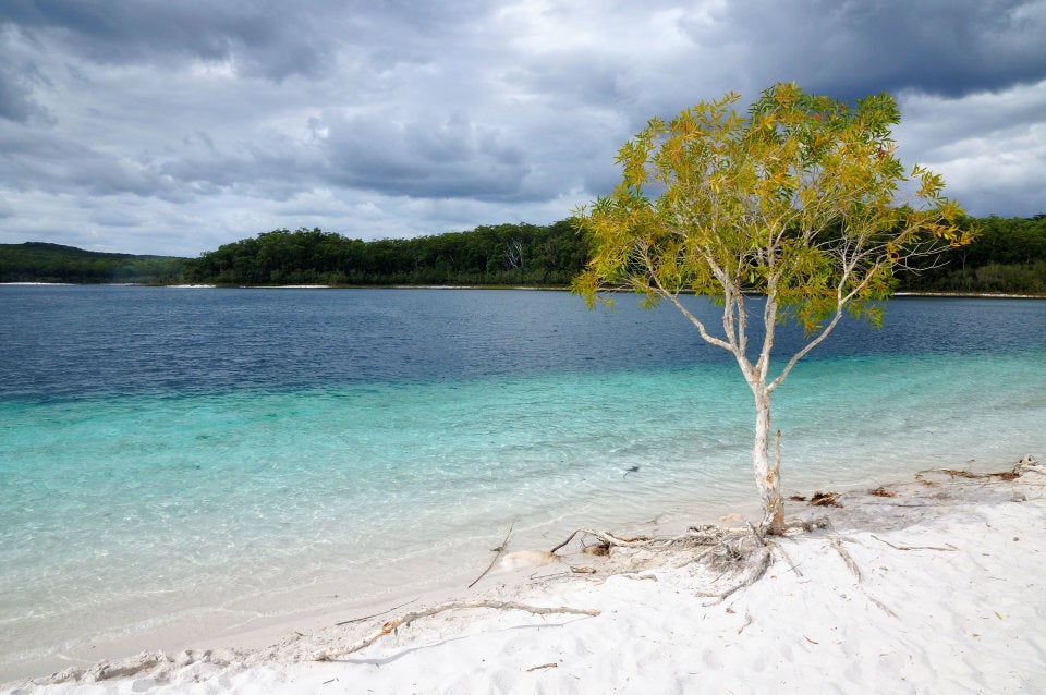 Lake McKenzie has pure white silica sand.