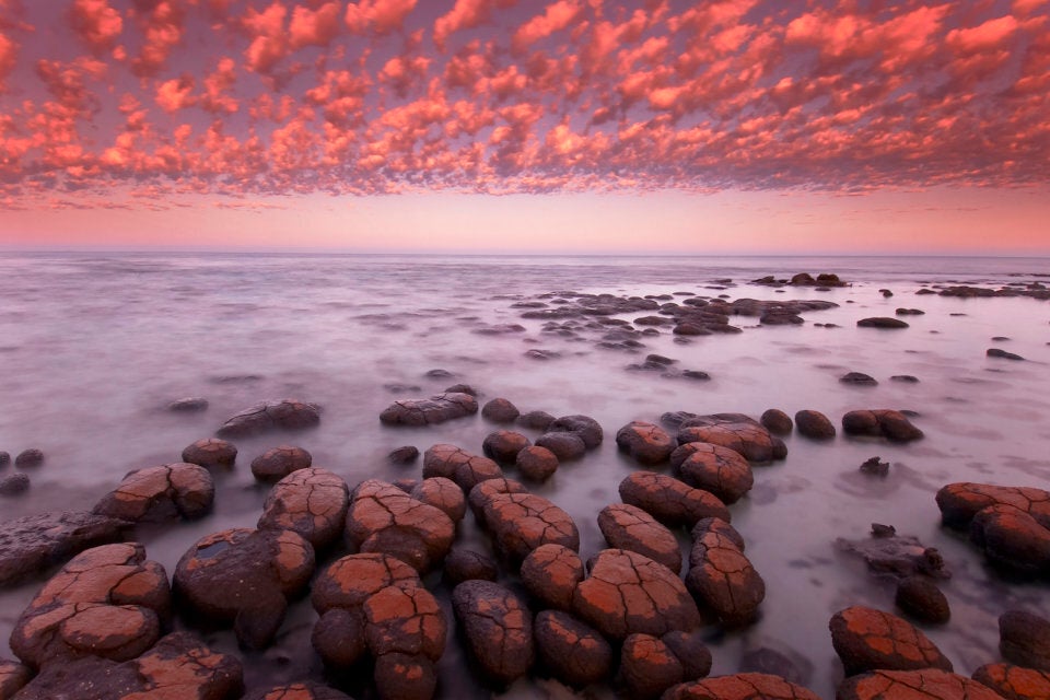 These rocks are stromatolites -- 3000-year-old living things -- and you can see them at Shark Bay.