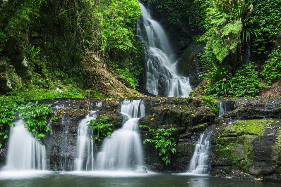 Lamington National Part is literally paradise.