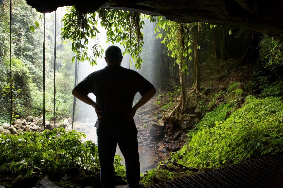 Crystal Falls Wonga Walk in Dorrigo National Park.