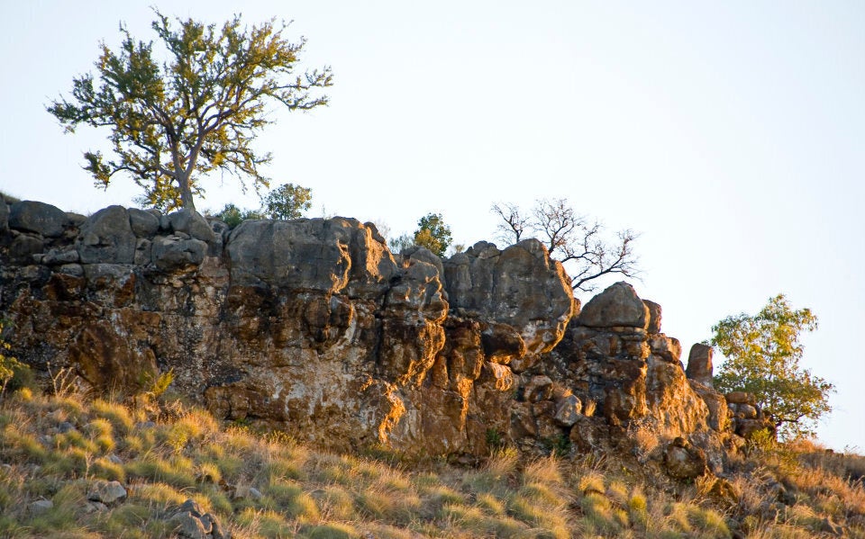 There's fossils in them there hills.