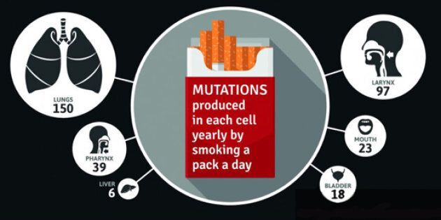 Cigarettes equal mutations in your cells.