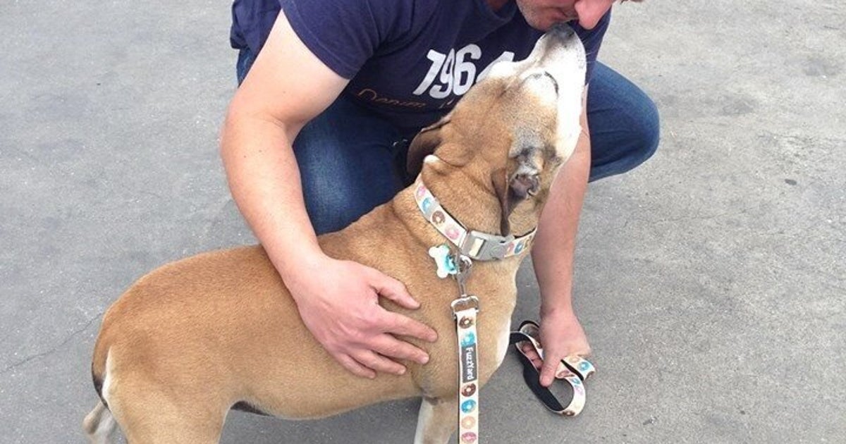 Dog Owner Reunited With Missing Pooch After Almost 7 Years Apart ...