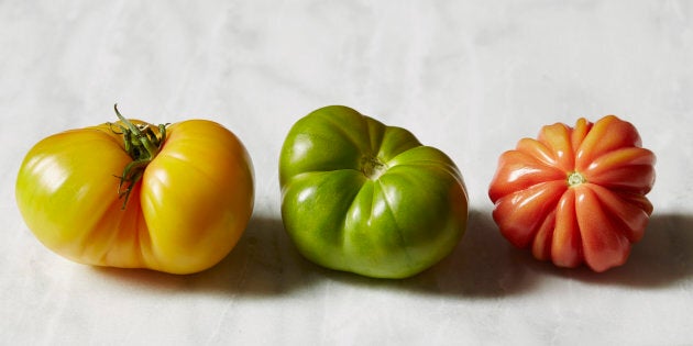 Tomatoes on white background