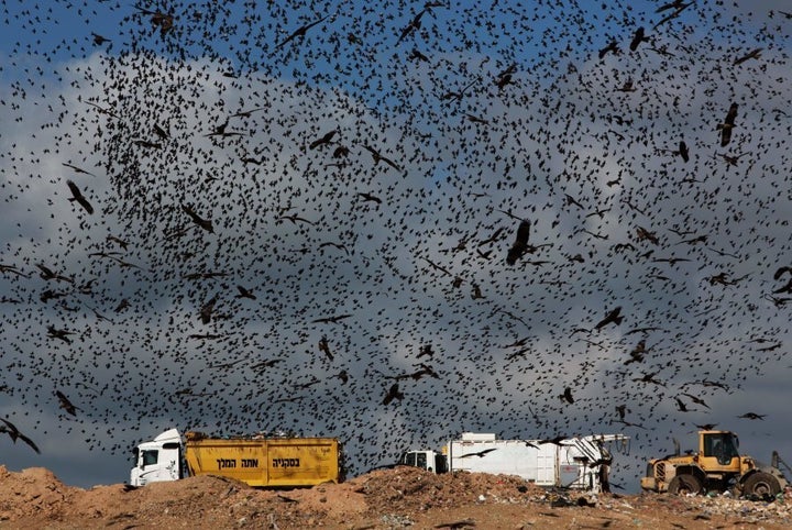 Trucks unload garbage at the Dudaim dump site, the biggest landfill in Israel.