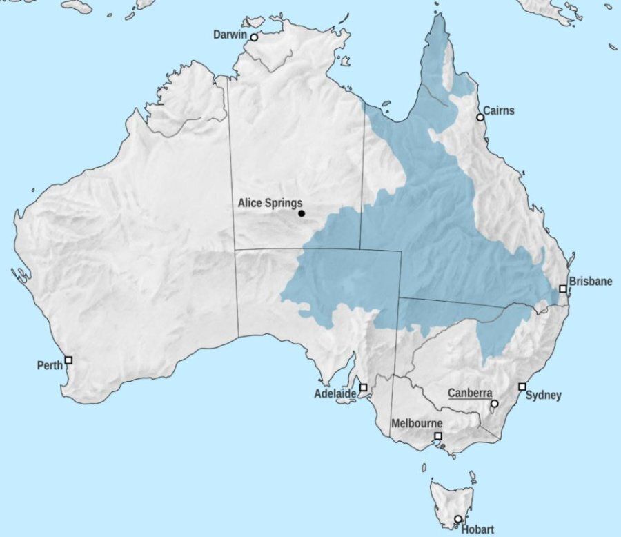 The Pilliga is situated at the area of shaded blue that dips down into NSW.