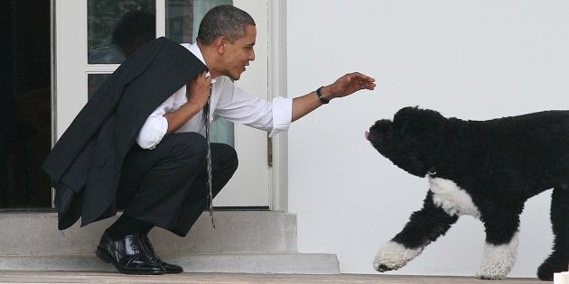 Barack Obama and Bo outside the Oval Office