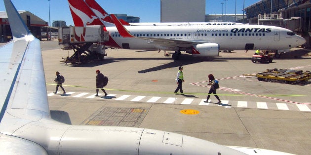 A Qantas plane collided with a truck at Sydney airport.