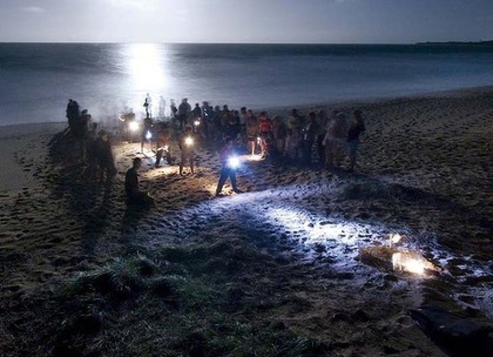 Visitors can watch a mother turtle on the beach at Mon Repos, laying her eggs.