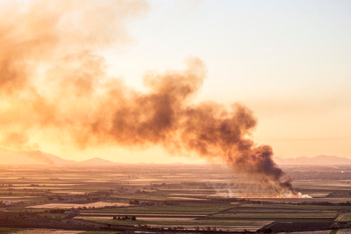 You always know when the neighbours are burning an old crop.