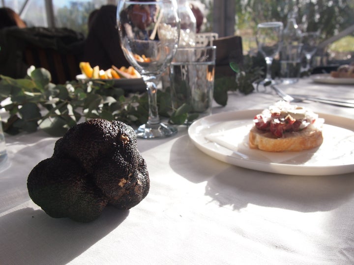 We found this truffle. Then we ate that bread.