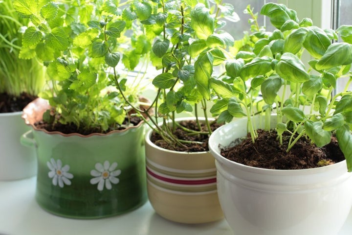 You don't need much space to have a flourishing herb garden.