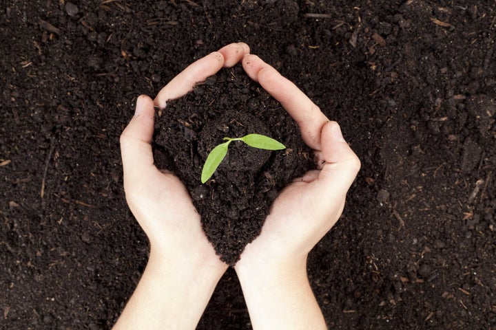 Give back to the environment through home gardening and composting.