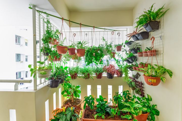 Get creative with how you build your garden. You could hang plants on a clothes rack, rope or over the balcony rail.