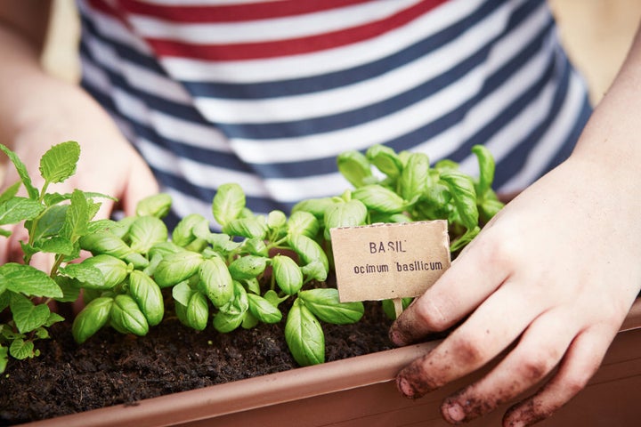 The feeling of growing plants is equally rewarding and addictive.