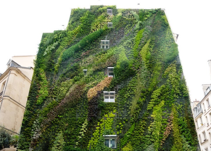 Now that's a vertical garden.