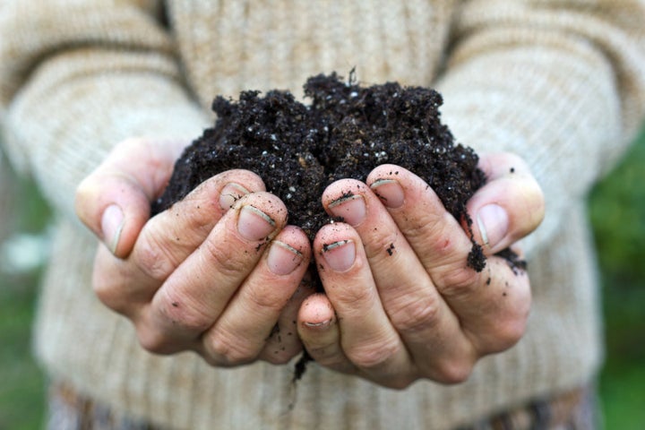 Composting makes nature's perfect soil.