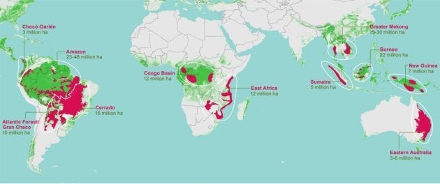 Eastern Australia is one of the world's 11 major deforestation fronts -- and its threatening dozens of our native species.