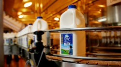 We No Longer Make Cars But We Must Still Milk Our Manufacturing Industry For All It's