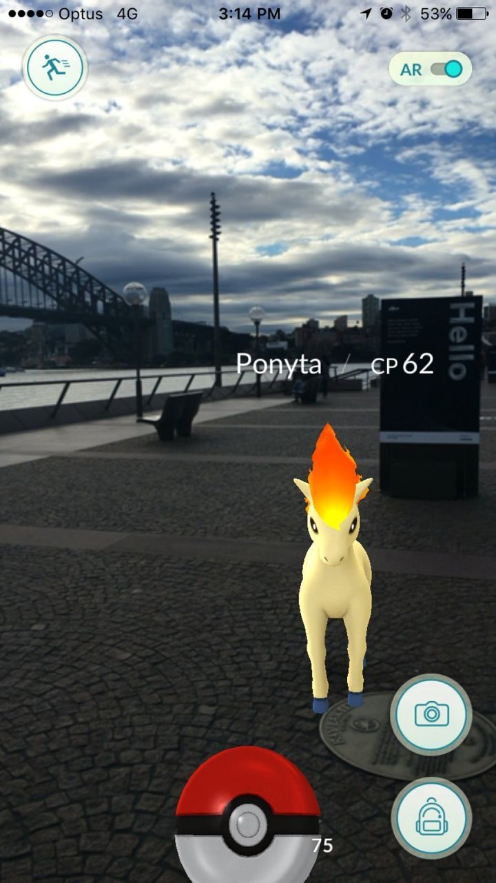 Catch Ponyta > look at the Harbour Bridge.