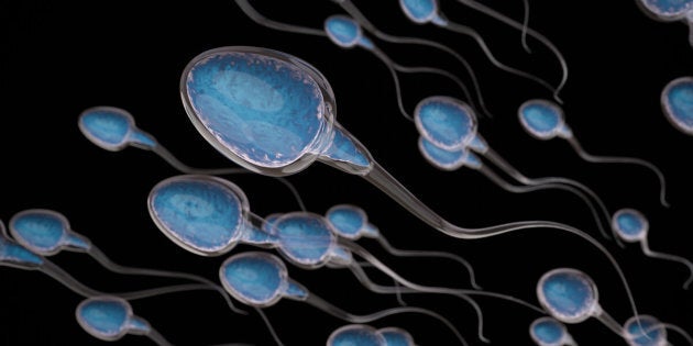 “It is entirely possible for sperm counts to be declining ... without their being a corresponding decrease in male fertility,” says University of Sussex professor Fiona Mathews.