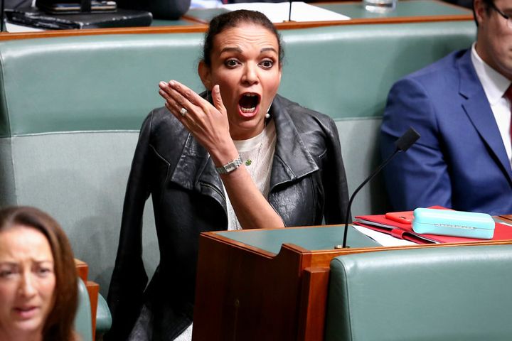 Ummm... what did he just say? Labor MP Anne Aly looks bemused by Dutton's comments.