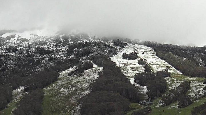 This was Thredbo at about 10 am on Thursday. It snowed all the way down to the village overnight but is quickly melting.