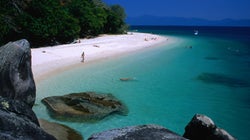 Cairns' Best Beaches And Rainforests Are A Daytrip