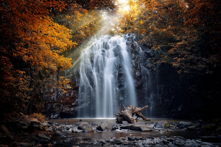 Yep. This place really exsists. Ellinjaa Falls at Millaa Millaa, Atherton Tablelands.