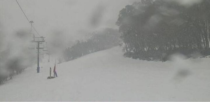 You can clearly see the snowflakes in this 1pm snapshot of the lower section of the Kosciuszko Express Chairlift at Thredbo.