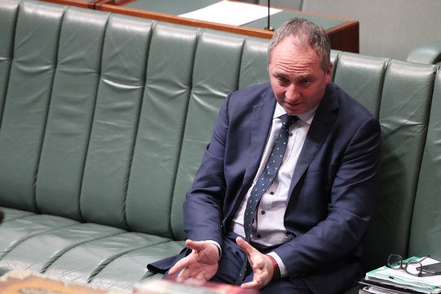 Ex-Deputy PM Barnaby Joyce was found to have dual citizenship with New Zealand.