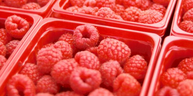 Containers of raspberries