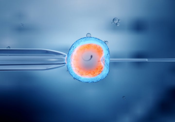 The embryonic programming stemming from an overweight or obese couple is different.