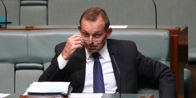 Tony Abbott is being pushed for a frontbench promotion