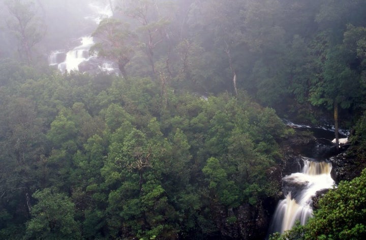 Gloucester Falls, Barrington Tops National Park.