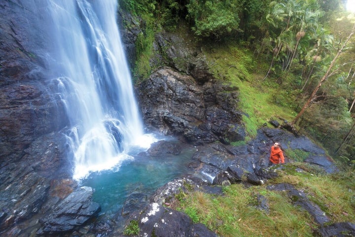 Red Cedar Falls, Dorrigo National Park.