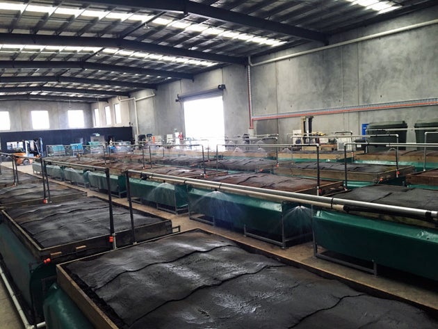 Worm farm business plan pdf image