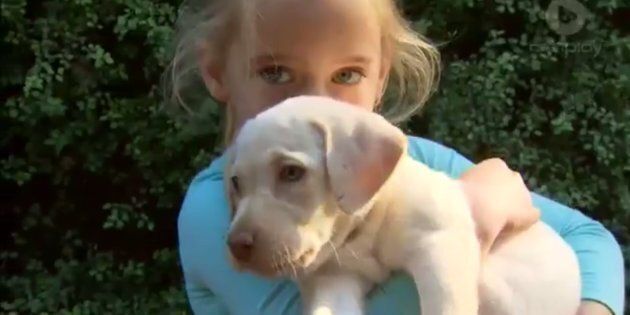 Sasha the Labrador puppy and Maia Hood have been reunited.