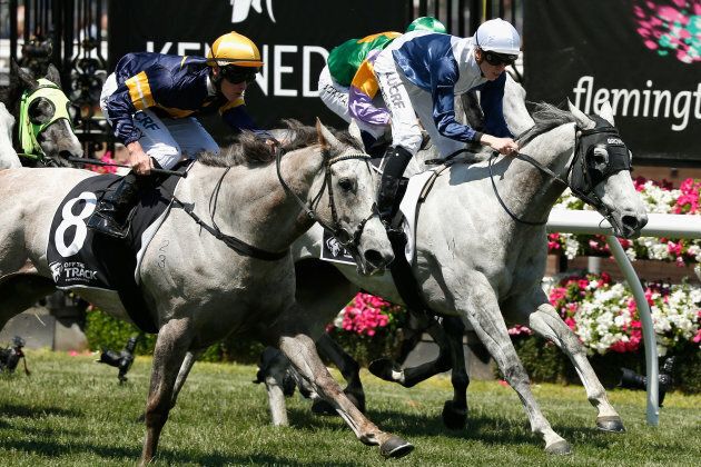 We're not sure which horse won this race. It's a bit of a grey area.