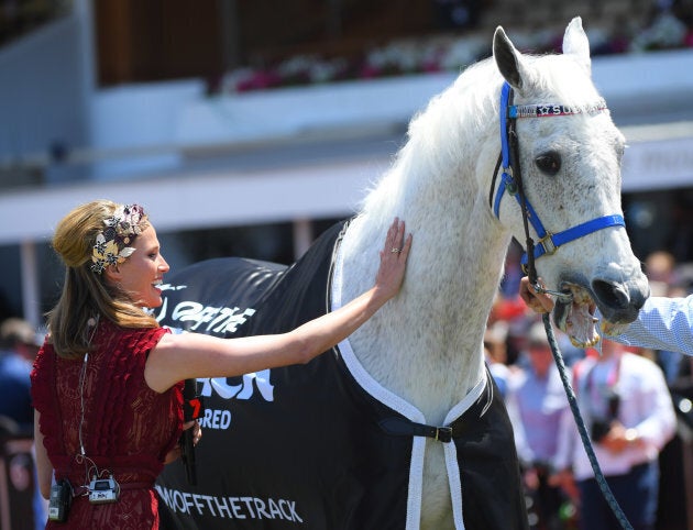 Channel 7 racing expert Francesca Cumani knows a champ when she sees one.