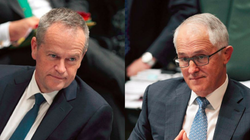 Even With A Yes Vote We Still Need Politicians To Unite And Say I Do To Same-Sex