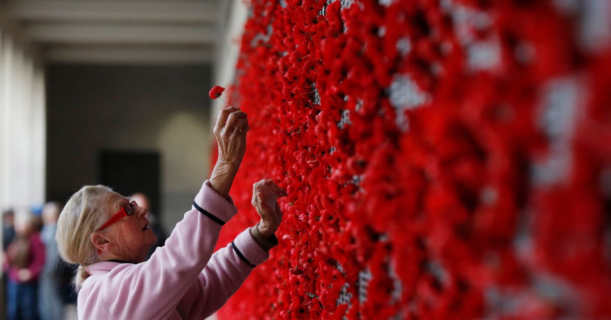 День поминовения. Символ дня памяти в Америке. Veterans Day в США С маками. Red Poppy Remembrance Day 99th of May. День памяти в Америке что дарят.