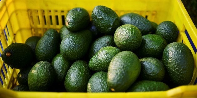 Avocados will be super cheap this summer.