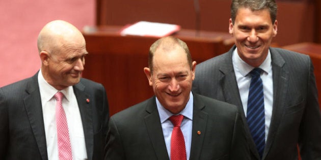 Fraser Anning got 19 primary votes at the 2016 federal election.