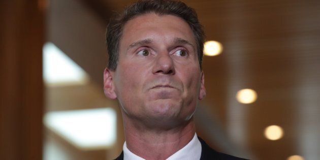 Cory Bernardi's South Australian voters overwhelmingly supported the Yes side.